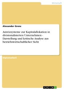 Anreizsysteme zur Kapitalallokation in divisionalisierten Unternehmen - Darstellung und kritische Analyse aus betriebswirtschaftlicher Sicht