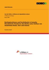Rechtspluralismus und Paralleljustiz in Somalia. Pluralistische Strukturen des Rechts unter Einfluss von Staatlichem Recht, Xeer und Scharia