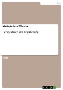 Perspektiven der Regulierung