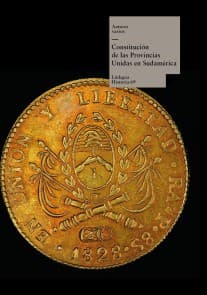 Constitución de las Provincias Unidas en Sudamérica