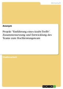 Projekt "Einführung eines Azubi-Treffs". Zusammensetzung und Entwicklung des Teams zum Hochleistungsteam