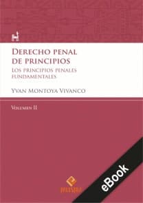 Derecho penal de principios (Volumen II)