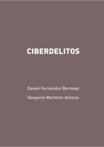 Ciberdelitos