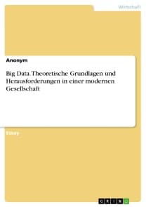 Big Data. Theoretische Grundlagen und Herausforderungen in einer modernen Gesellschaft
