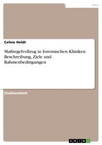 Maßregelvollzug in forensischen Kliniken. Beschreibung, Ziele und Rahmenbedingungen