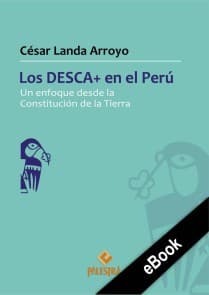 Los DESCA+ en el Perú
