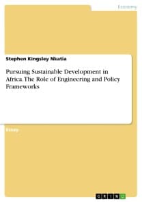 Pursuing Sustainable Development in Africa. The Role of Engineering and Policy Frameworks