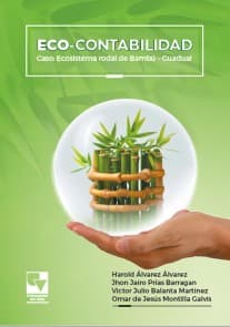 Eco-contabilidad: Caso: Ecosistema Rodal de Bambú - Guadual