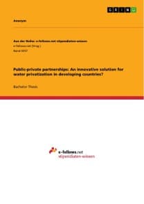 Public-private partnerships: An innovative solution for water privatization in developing countries?