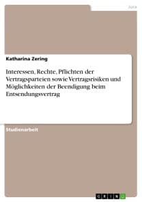 Interessen, Rechte, Pflichten der Vertragsparteien sowie Vertragsrisiken und Möglichkeiten der Beendigung beim Entsendungsvertrag