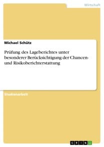 Prüfung des Lageberichtes unter besonderer Berücksichtigung der Chancen- und Risikoberichterstattung
