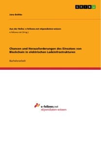 Chancen und Herausforderungen des Einsatzes von Blockchain in elektrischen Ladeinfrastrukturen