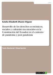 Desarrollo de los derechos económicos, sociales y culturales reconocidos en la Constitución del Ecuador en el contexto de pandemia y post pandemia