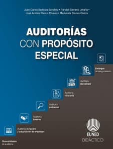 Auditorías con propósito especial