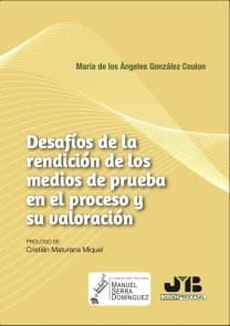 Desafíos de la rendición de los medios de prueba en el proceso y su valoración