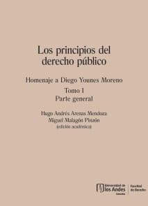Los principios del derecho público