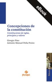 Concepciones de la constitución