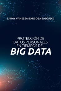 Protección de datos personales en tiempos del big data