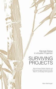 Surviving Projects