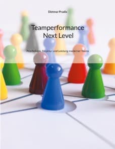 Teamperformance Next Level