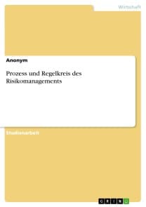 Prozess und Regelkreis des Risikomanagements