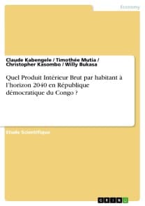 Quel Produit Intérieur Brut par habitant à l'horizon 2040 en République démocratique du Congo ?