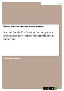 Le contrôle de l'exécution du budget des collectivités territoriales décentralisées au Cameroun