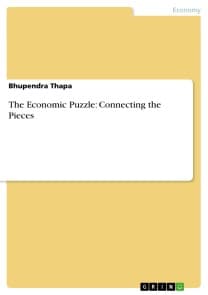 The Economic Puzzle: Connecting the Pieces