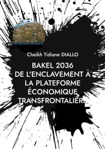 De l'enclavement à la plateforme économique transfrontalière