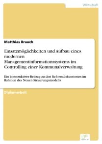 Einsatzmöglichkeiten und Aufbau eines modernen Managementinformationssystems im Controlling einer Kommunalverwaltung