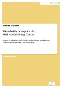 Wirtschaftliche Aspekte der Markterschließung Chinas