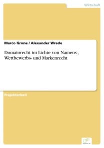 Domainrecht im Lichte von Namens-, Wettbewerbs- und Markenrecht