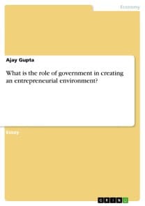 What is the role of government in creating an entrepreneurial environment?