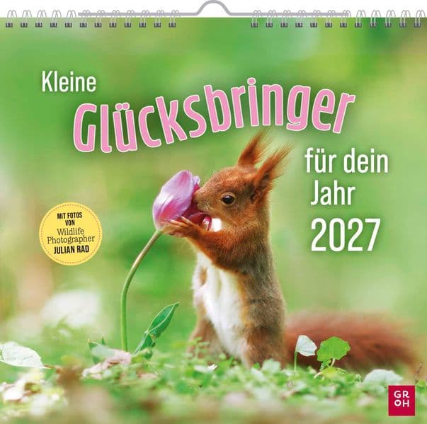 Wandkalender 2027: Kleine Glücksbringer für dein Jahr