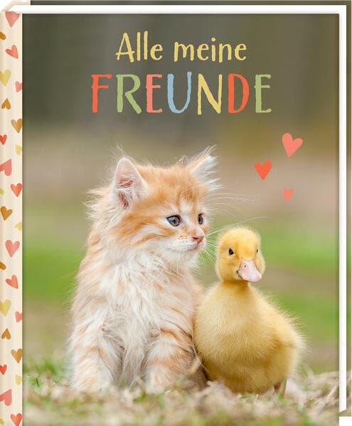 Freundebuch – Alle meine Freunde