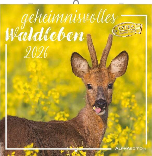 Geheimnisvolles Waldleben 2026 - Broschürenkalender 30x30 cm (30x60 geöffnet) - Kalender mit Platz für Notizen - Forest Animals - Bildkalender - Wandkalender