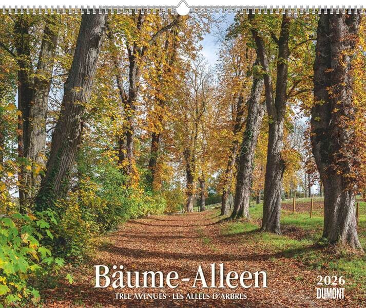 DUMONT - Bäume – Alleen 2026 – Wandkalender 52 x 43 cm, Naturkalender mit Spiralbindung und Feiertagen für D/A/CH