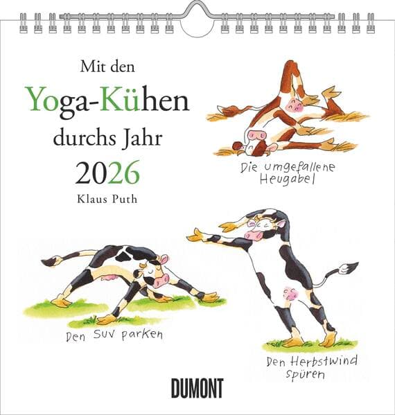 Mit den Yoga-Kühen durchs Jahr 2026 – Wandkalender – Quadratformat 23 x 23 cm