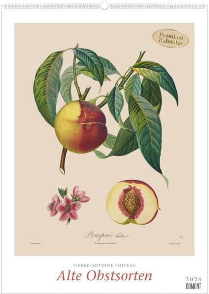 Pierre Antoine Poiteau: Alte Obstsorten 2026 – DUMONT Kunst-Kalender – Poster-Format 50 x 70 cm