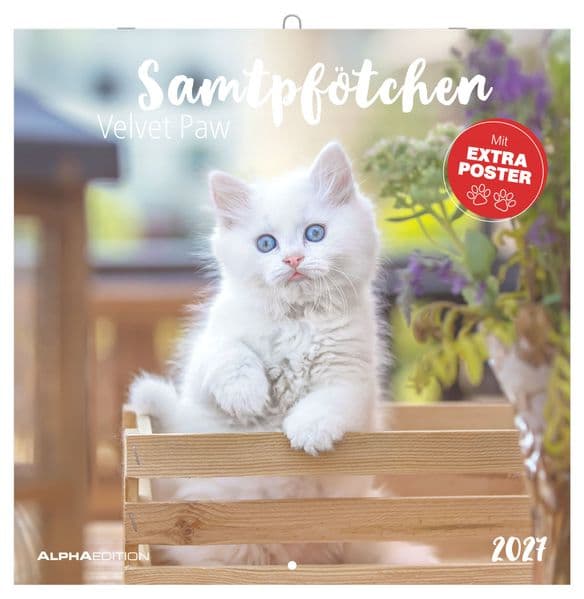 Samtpfötchen 2027