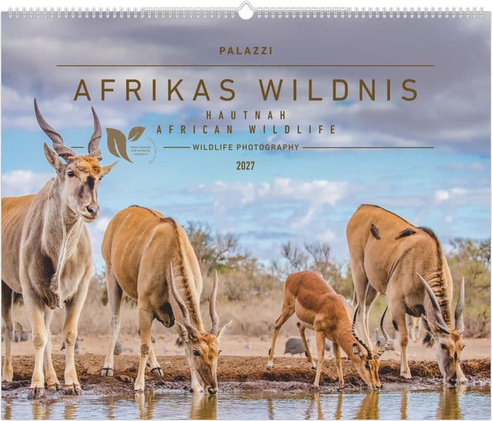 Hautnah - Afrikas Wildnis 2027