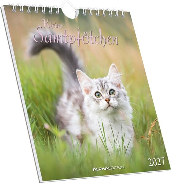 Kleine Samtpfötchen 2027