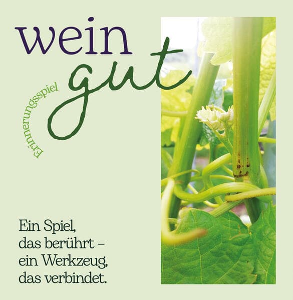 wein gut Erinnerungspiel