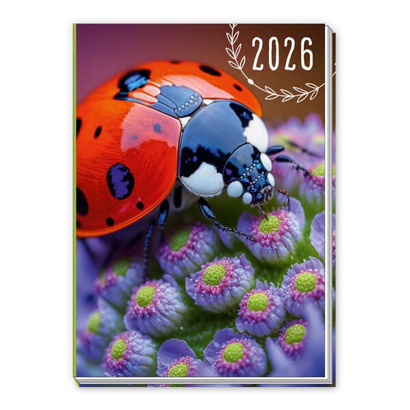 Trötsch Taschenkalender A7 Marienkäfer 2026