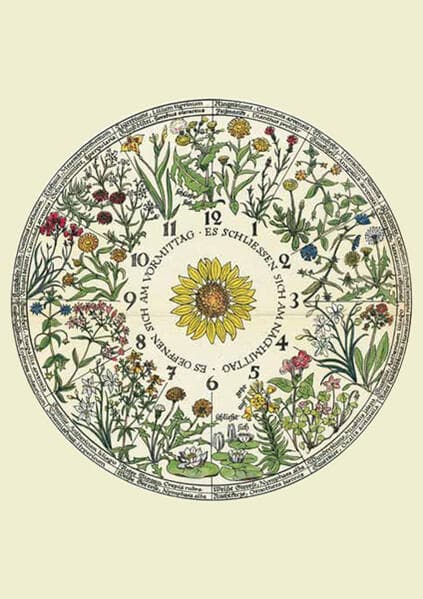 Kartenset Blumenuhr
