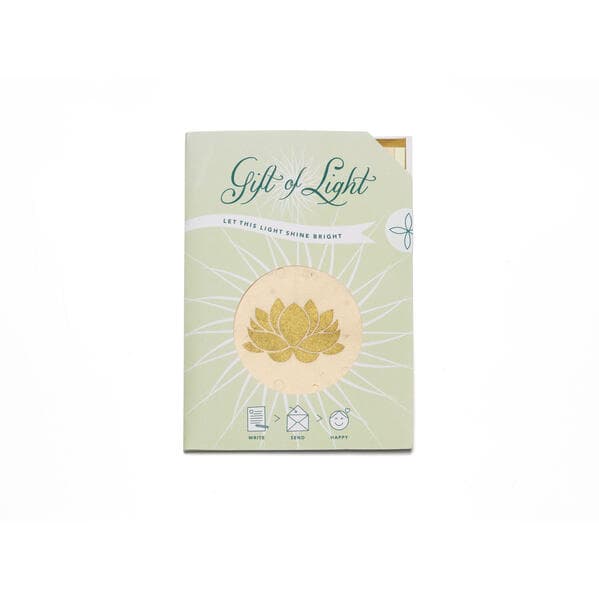 Gift of Light Lotus