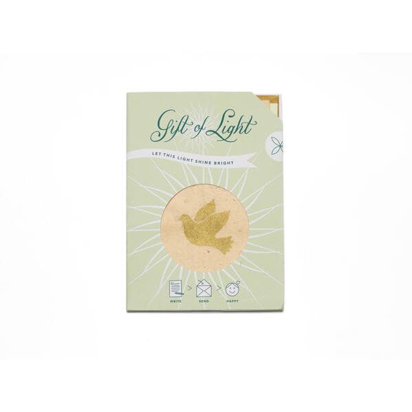 Gift of Light Taube