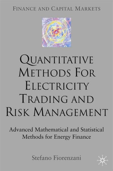 Quantitative Methods for Electricity Trading and Risk Management