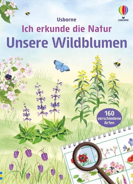 Ich erkunde die Natur: Unsere Wildblumen