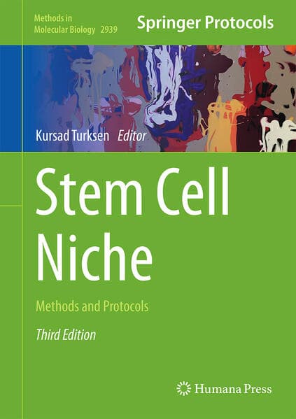 Stem Cell Niche